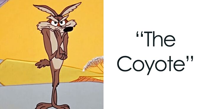 “Who Is A Villain You Rooted For Rather Than The Protagonist And Why?” (50 Answers)