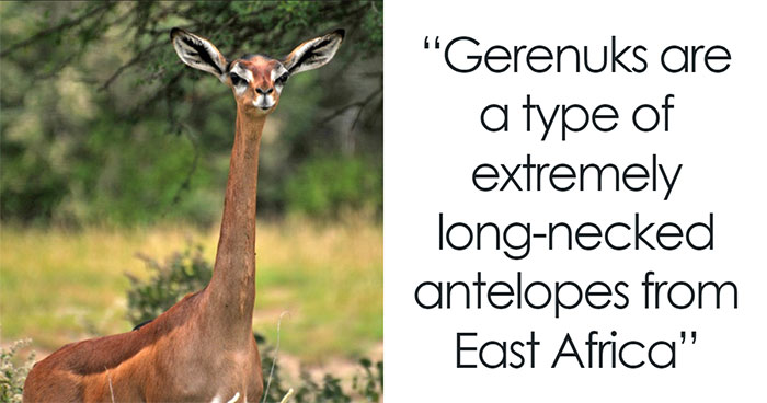 50 Weird Science Posts That Have Been Scientifically Proven To Be Interesting