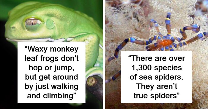 80 Weird Science Posts That Might Not Teach You Anything Important, But Are Interesting