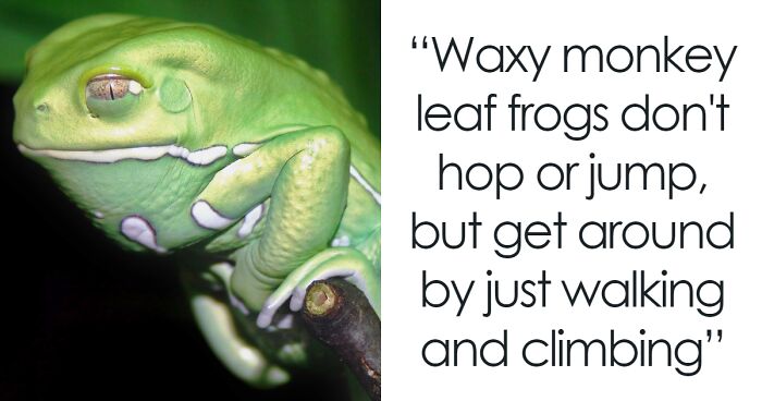 80 Weird Science Posts That Might Not Teach You Anything Important, But Are Interesting