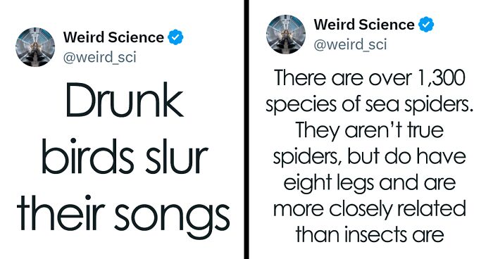80 Of The Weirdest Science Tweets That Perfectly Blend Humor With Knowledge