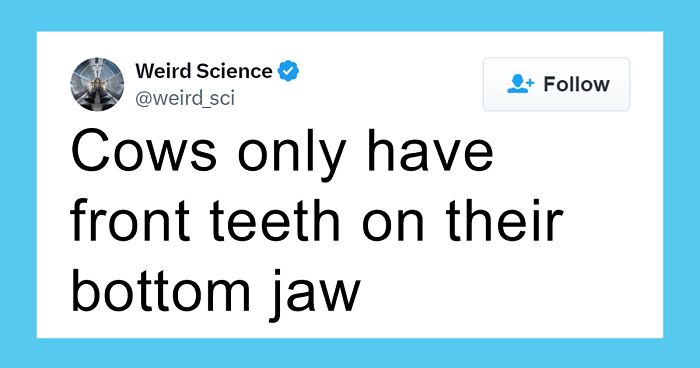 80 Weird Science Posts To Make You Remember Some Stuff They Taught At School