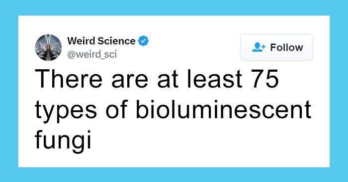 80 Weird Science Posts That Have Been Scientifically Proven To Be Interesting