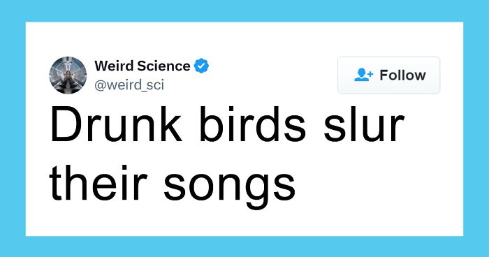 80 Weird Science Posts That Have Been Scientifically Proven To Be Interesting