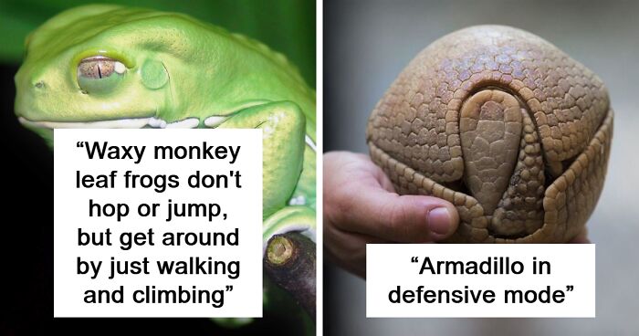 80 Of The Weirdest Science Tweets That Perfectly Blend Humor With Knowledge