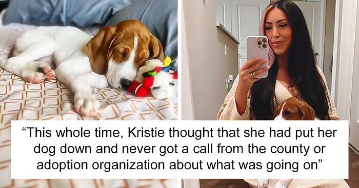 Woman Stunned To Find Her Dog Up For Adoption A Year After She Had Him Put Down