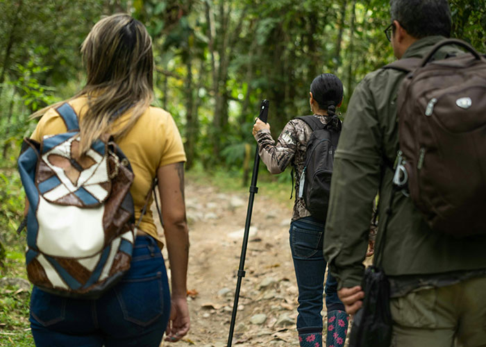 Expert Sheds Light On “10,000 Steps” Claim, Reveals How Many Steps We Actually Need To Walk Expert Sheds Light On “10,000 Steps” Claim, Reveals How Many Steps We Actually Need To Walk