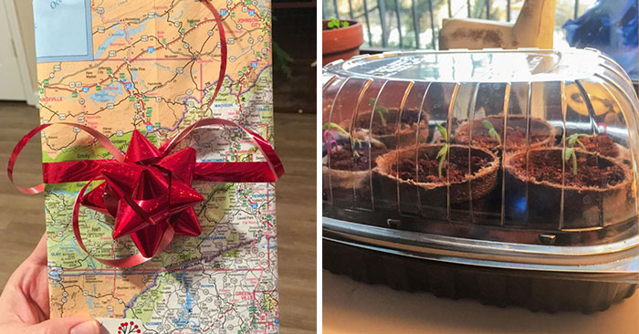 50 Times People Saw Such Creative Zero-Waste Ideas They Just Had To Share