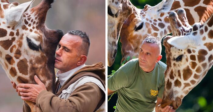 A Heartbreaking Day At The Macedonian Zoo: Zookeeper And Giraffe Both Pass Away, Leaving A Legacy