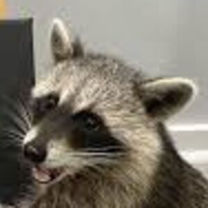 danielmagnusson avatar