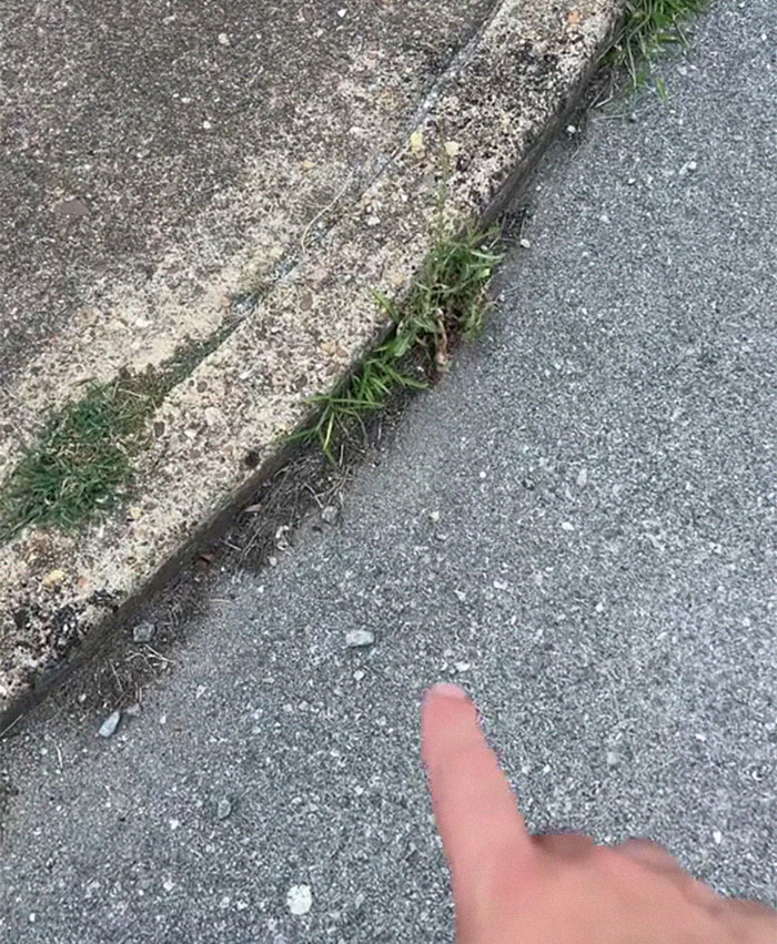 "Give Me Walkable Cities": Guy Shares How Messed Up American Cities Are "Give Me Walkable Cities": Guy Shares How Messed Up American Cities Are