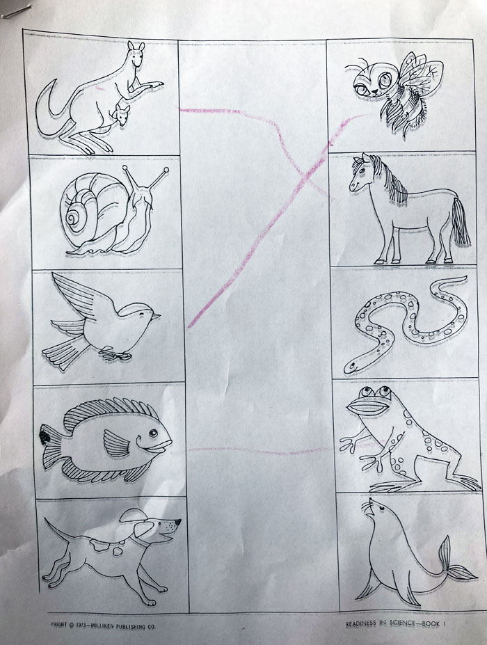 My Four-Year-Old Daughter's Preschool Homework. "Match The Pictures" With No Other Context﻿