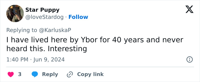 Tampa’s Secret Tunnel System Continues To Baffle Researchers Tampa’s Secret Tunnel System Continues To Baffle Researchers