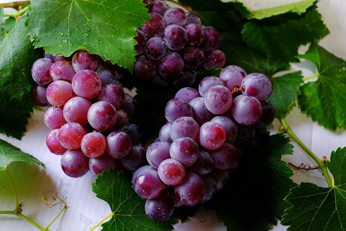 60YO Lady Gets Senior Discount, Buys 109 Pounds of Grapes For $8, Upset When Wine-Making Goes South 60YO Lady Gets Senior Discount, Buys 109 Pounds of Grapes For $8, Upset When Wine-Making Goes South
