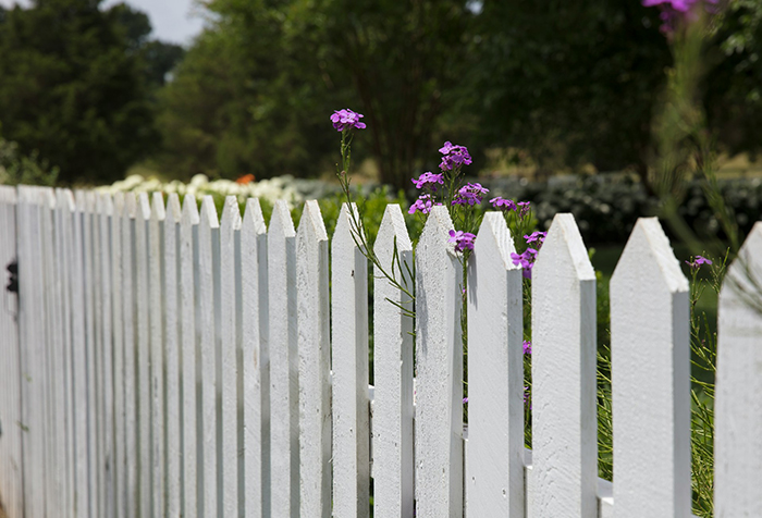 Annoying Woman Threatens To Sue Neighbor Over A Fence, Regrets It When He Tears It Down Annoying Woman Threatens To Sue Neighbor Over A Fence, Regrets It When He Tears It Down