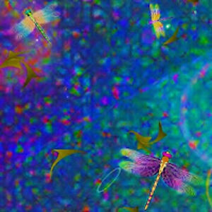 allorynwiggins avatar