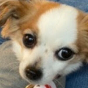 patriciaowens avatar