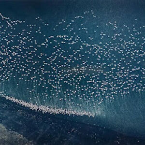 nadiakomorova_1 avatar