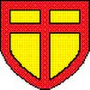 themightypaladin avatar