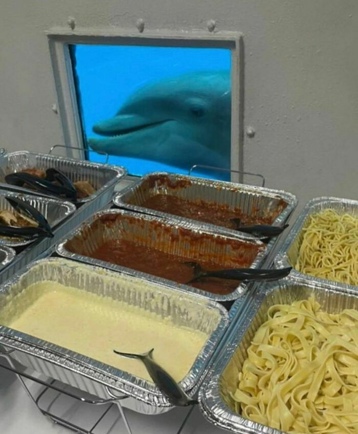 Dolphin peeks through window behind pasta trays with sauce, a random and cringe photo for unique sense of humor fans.