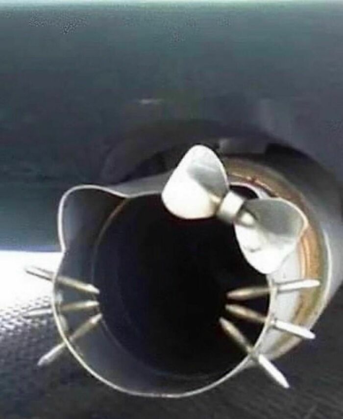 Car exhaust pipe decorated with metal whiskers and a bow, creating a random and cringe funny visual effect.
