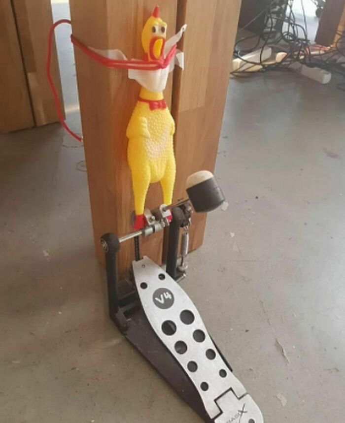 Rubber chicken tied to a wooden post with a drum pedal, showcasing a random and cringe sense of humor setup.