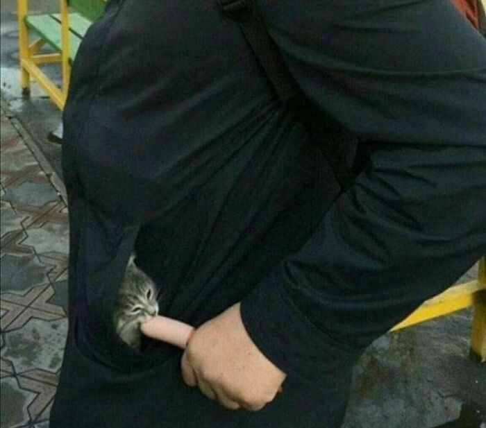 Kitten playfully biting a finger through a black jacket pocket in a random and cringe photo for unique humor fans.