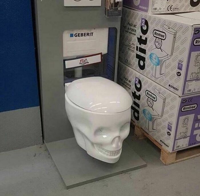 Toilet with a skull-shaped bowl displayed in a store, showcasing a random and cringe home fixture design.