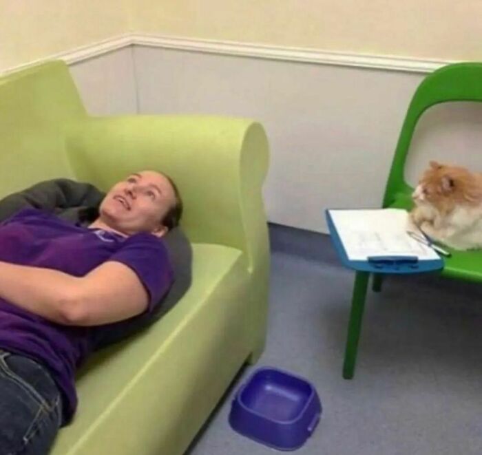 Man lying on a couch while a cat sits on a chair next to a clipboard in a random and cringe photo with unique humor.