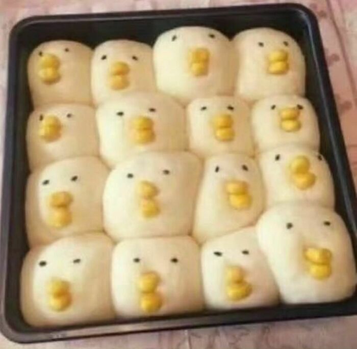 Tray of random and cringe bread rolls shaped like cute chicks with corn beaks and black eyes, showcasing unique humor.