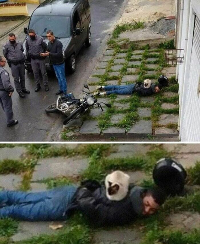 Man lying on grass-covered pavement after a motorcycle fall, with a cat calmly sitting on his back in a random cringe photo.