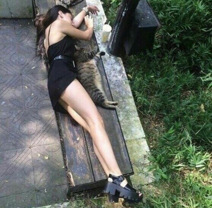 Woman in black dress lying on a bench with a cat, a random and cringe photo for unique sense of humor enthusiasts