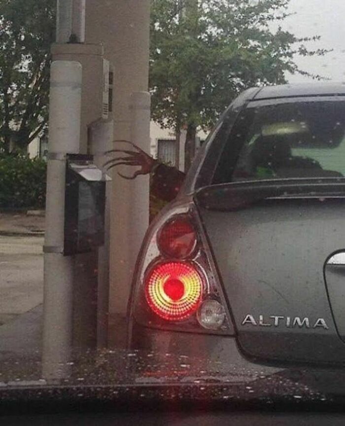 Rear view of a Nissan Altima at a drive-thru with a strange, random object appearing to reach around the car, humorously cringe.