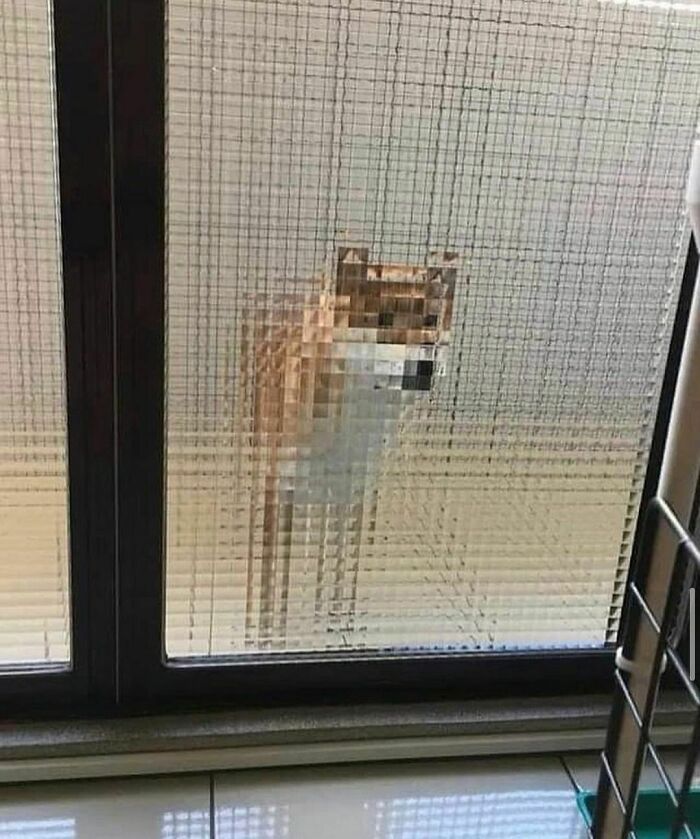 Pixelated dog seen through textured glass, creating a random and cringe visual effect for unique humor fans.