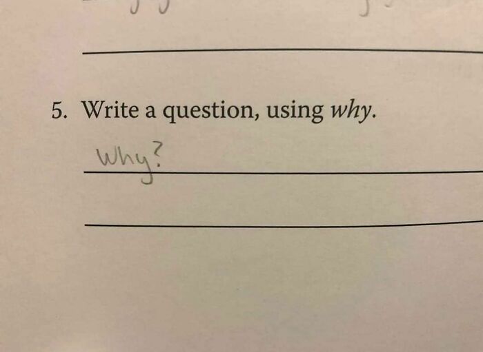 Handwritten answer "Why?" to a homework question about writing a question using why, in a random and cringe photo.