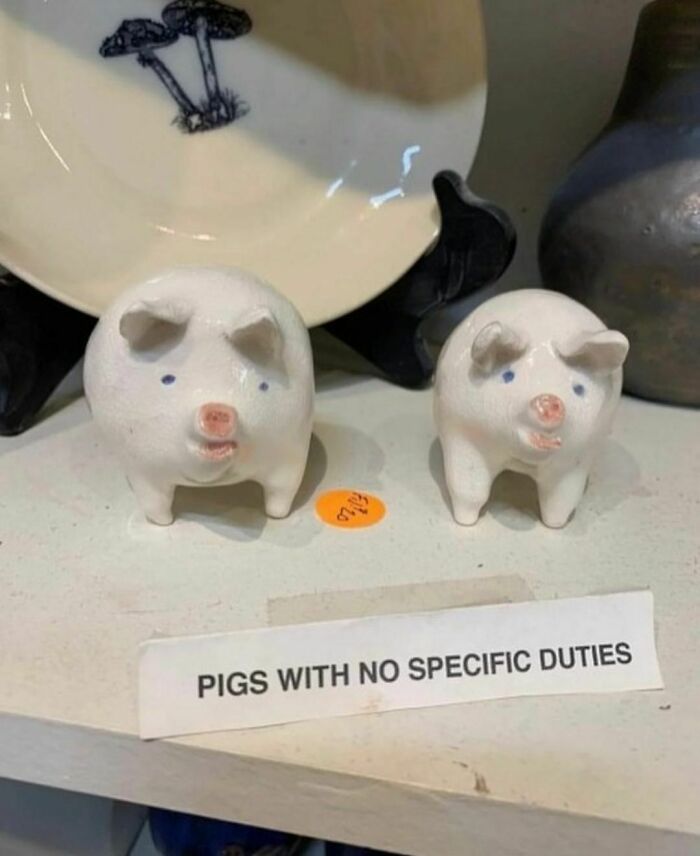 Two small ceramic pigs labeled as random and cringe photos for those with a unique sense of humor displayed on a shelf.