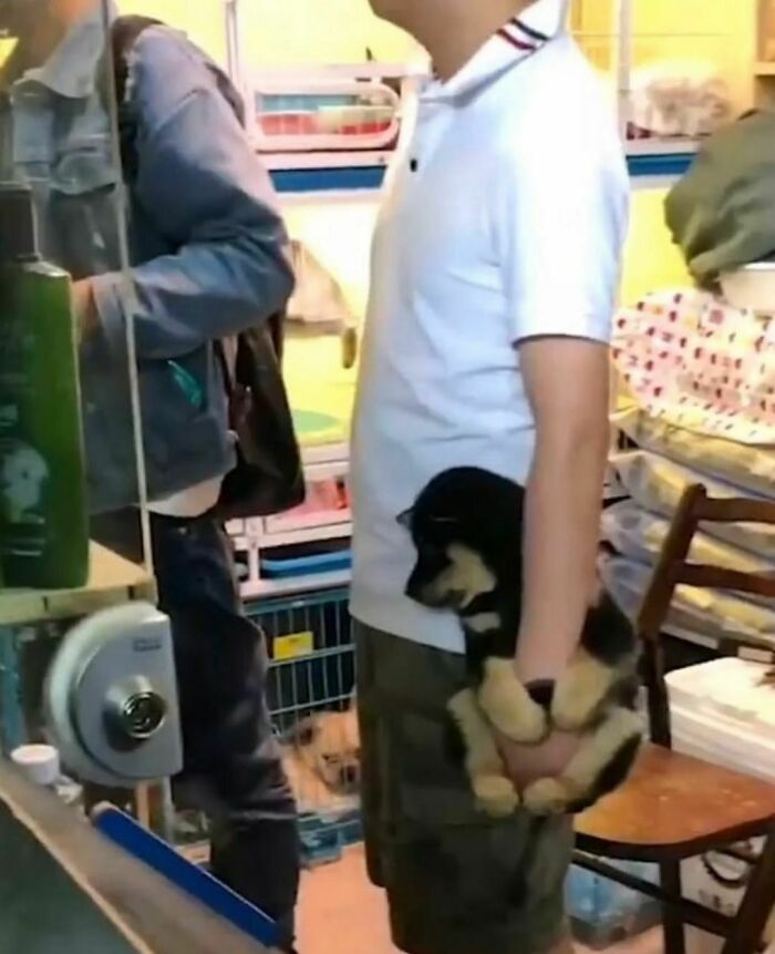 Man in white shirt holding a small dog behind his back inside a store, showing a random and cringe moment for unique humor fans