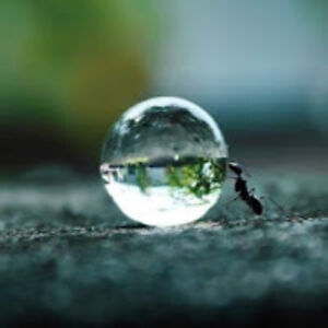 sureshkumar_8 avatar