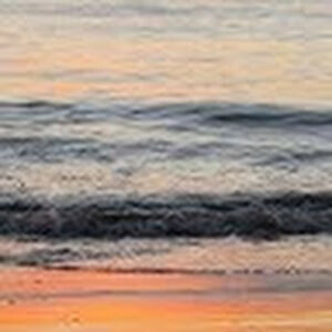 mimishoward-huff avatar