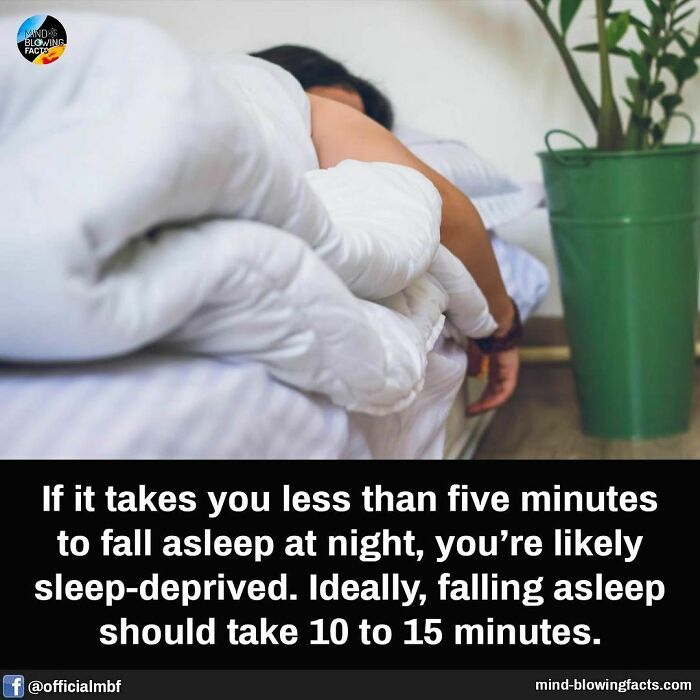 Person sleeping under a white blanket with a plant nearby illustrating mind-blowing facts about sleep duration.