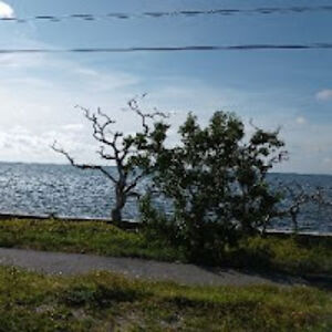 reginabennett avatar