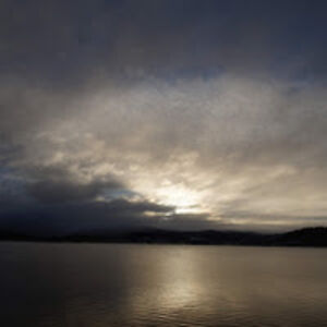 ceesvanderput avatar