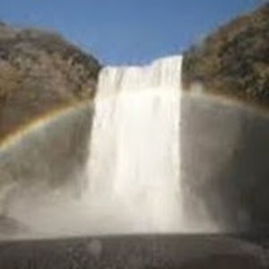 michaelrounds avatar