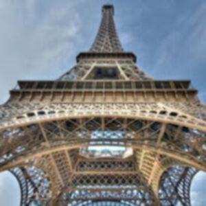 cynthiafields_1 avatar