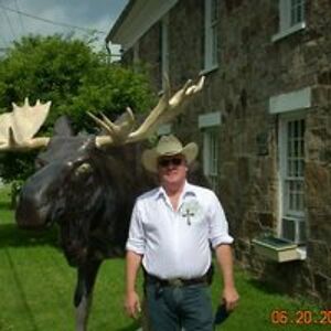 freeinthewoods avatar