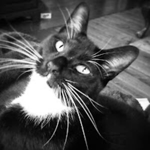 michelledavis_5 avatar