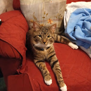 kathrynrussell_1 avatar