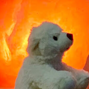 margaretpeluso avatar