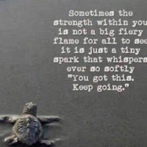 marilynmaracle avatar