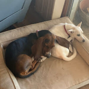 eastlancaster avatar